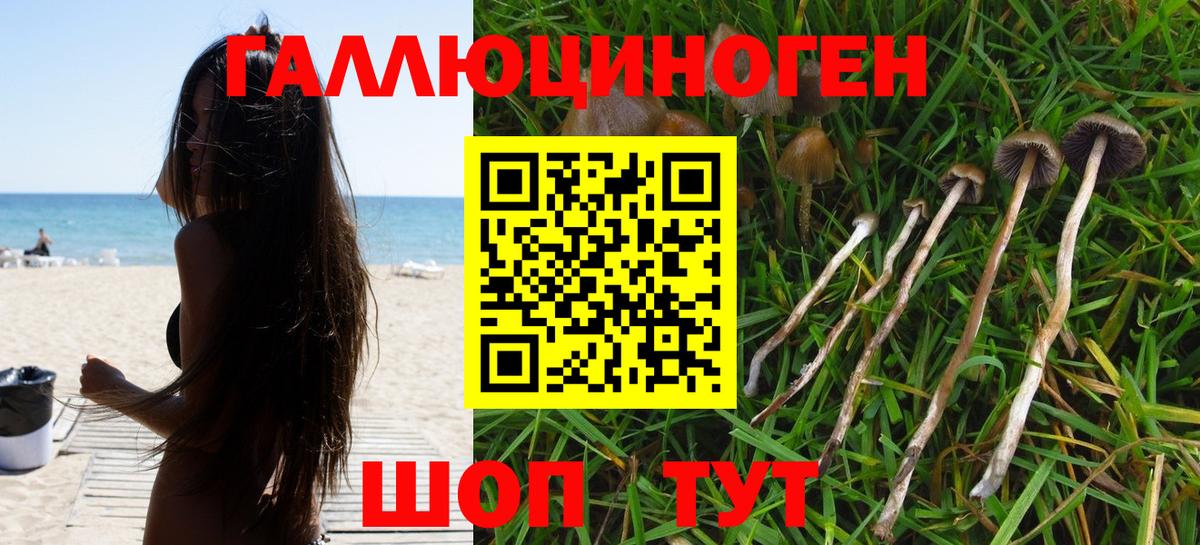 Псилоцибиновые грибы мухоморы  Вход с VPN  Йошкар-Ола 